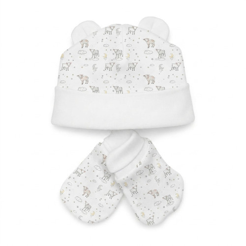 Hat and Mittens Set010 LITT..