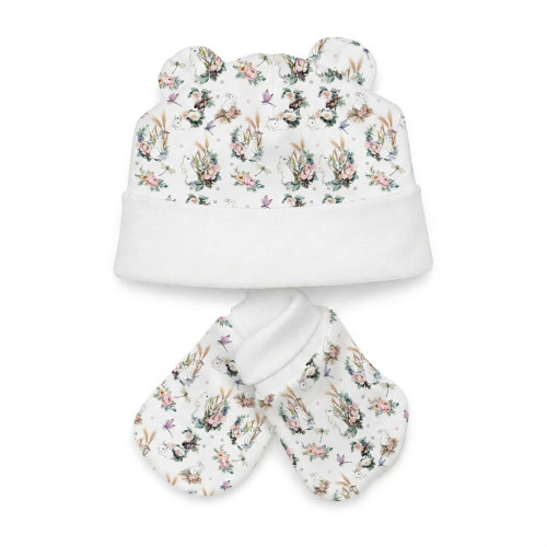 Hat and Mittens Set010