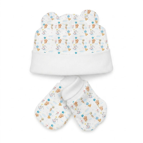 Hat and Mittens Set010