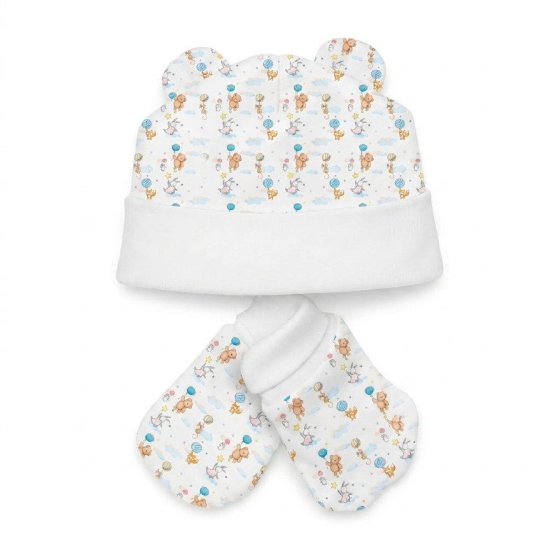 Hat and Mittens Set010 Hat and Mittens Set010