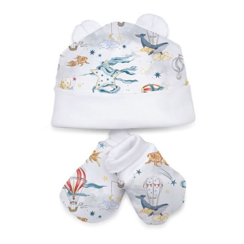 Hat and Mittens Set010