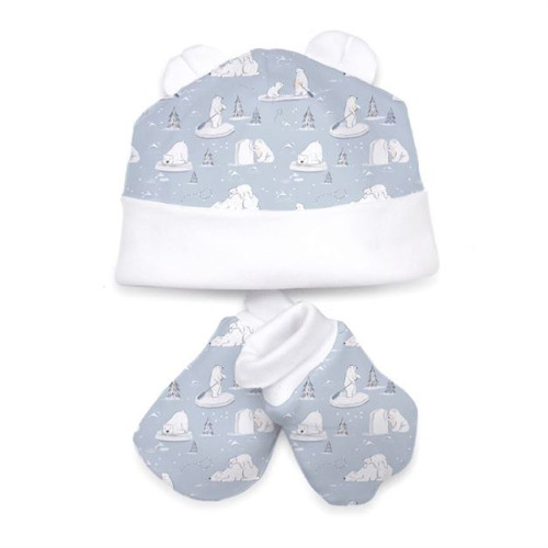 Hat and Mittens Set010