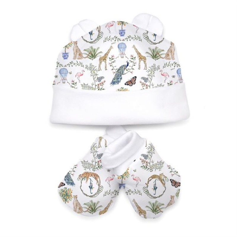 Hat and Mittens Set010