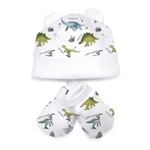 Hat and Mittens Set010