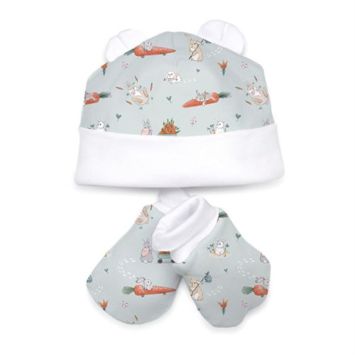 Hat and Mittens Set010