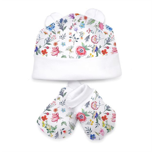 Hat and Mittens Set010