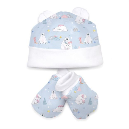 Hat and Mittens Set010