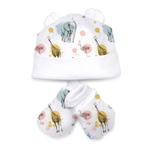Hat and Mittens Set010
