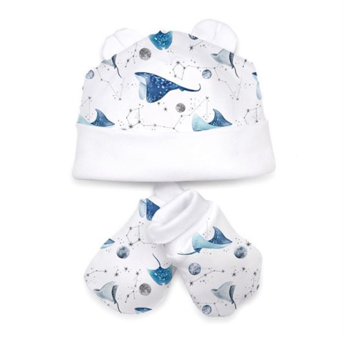 Hat and Mittens Set010