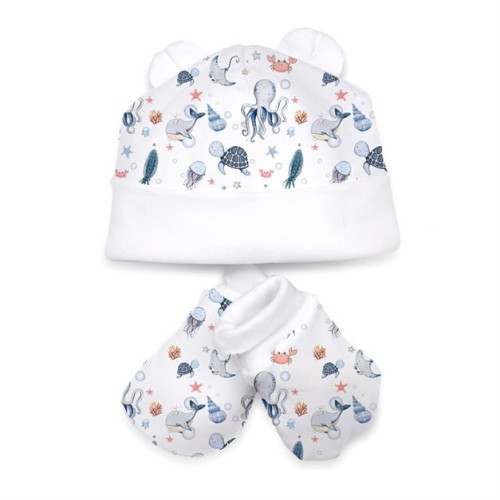 Hat and Mittens Set010