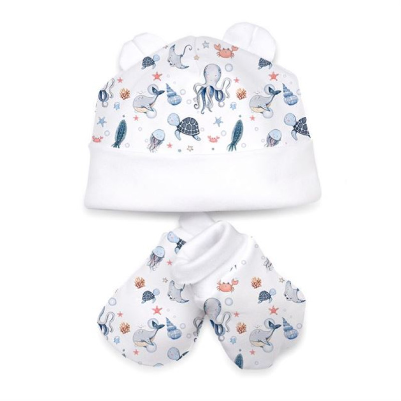 Hat and Mittens Set010