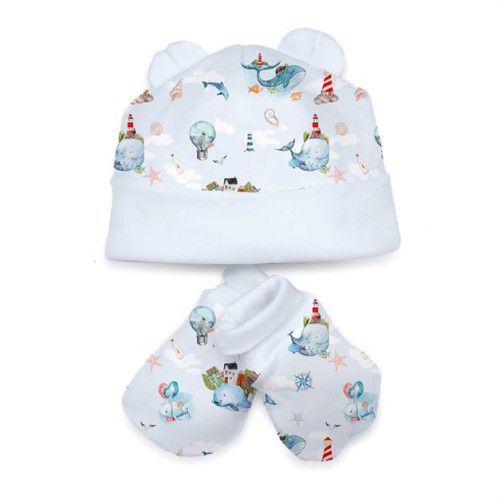 Hat and Mittens Set010