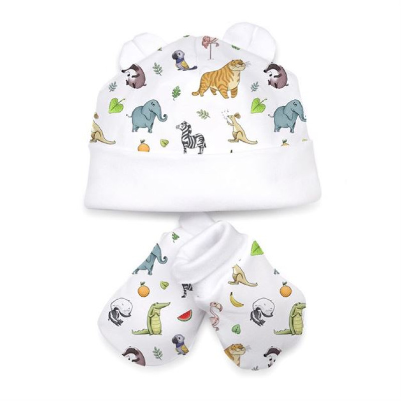 Hat and Mittens Set010